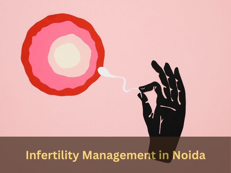 Infertility Management in Noida